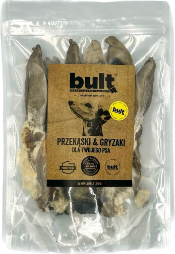 bult ucho krolicze 10 front.png